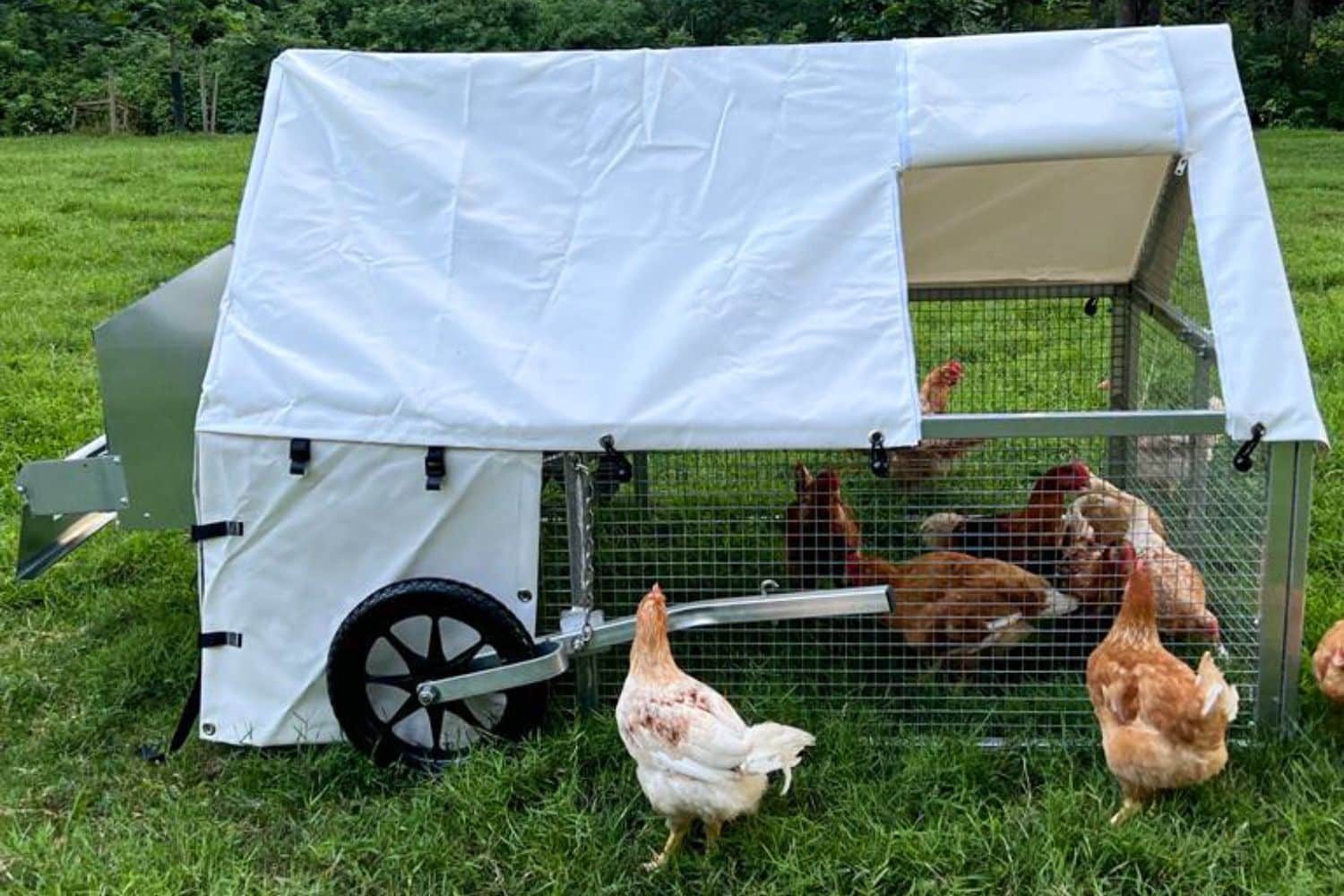 mobile chicken coops in minnesota for sale