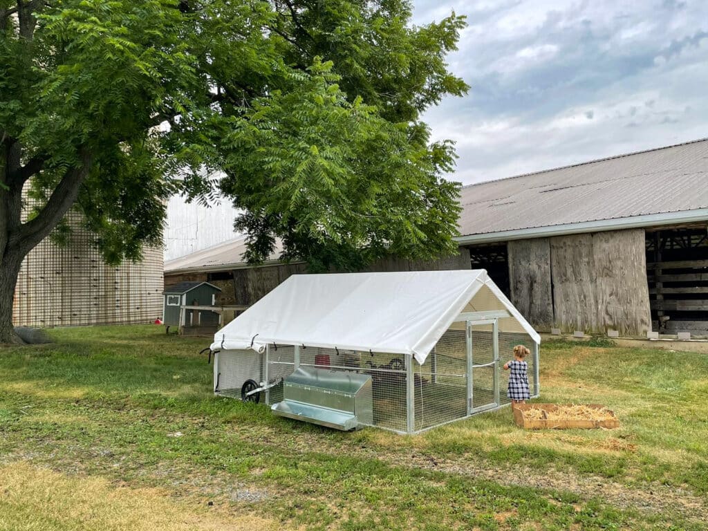 Mobile Broiler Coops for Turkeys in North Dakota