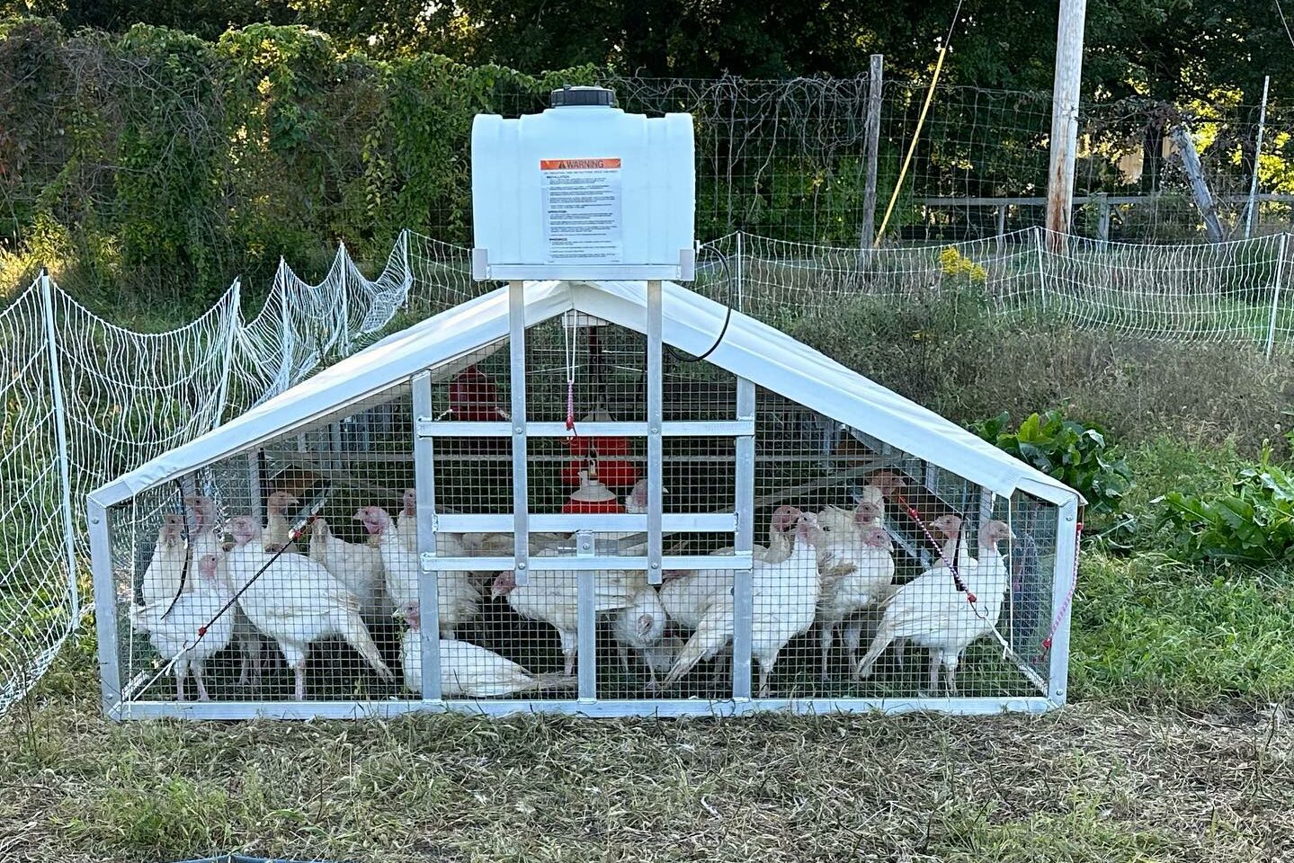 Mobile Chicken Coops in North Dakota