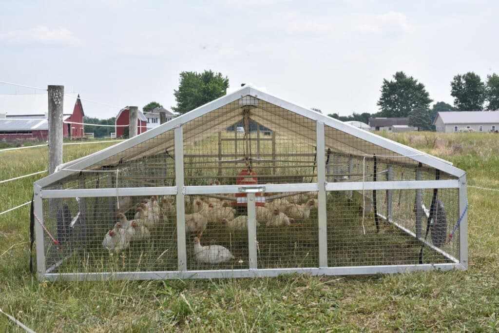 mobile broiler chicken coops in Oklahoma