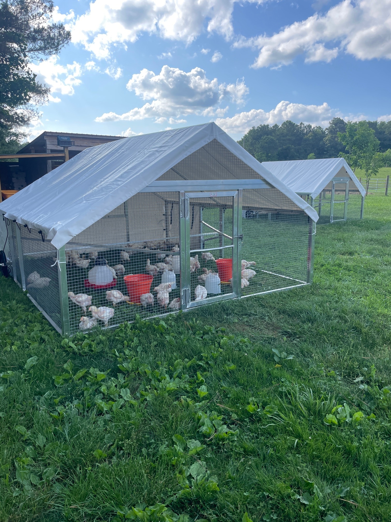 10x12 Broiler Chicken Coops in Pikeville TN