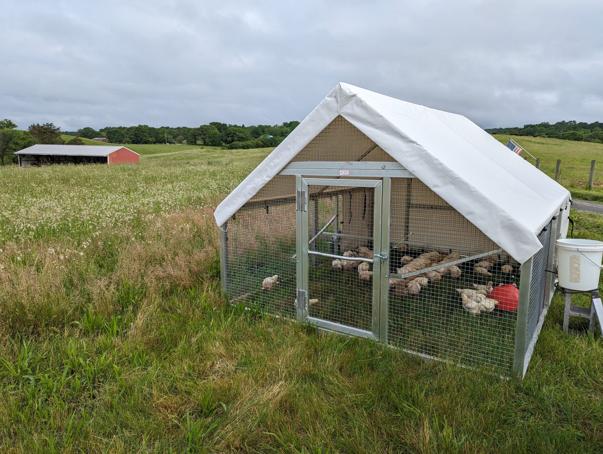 Happy Farmer Broiler Chicken Coops in Reva VA