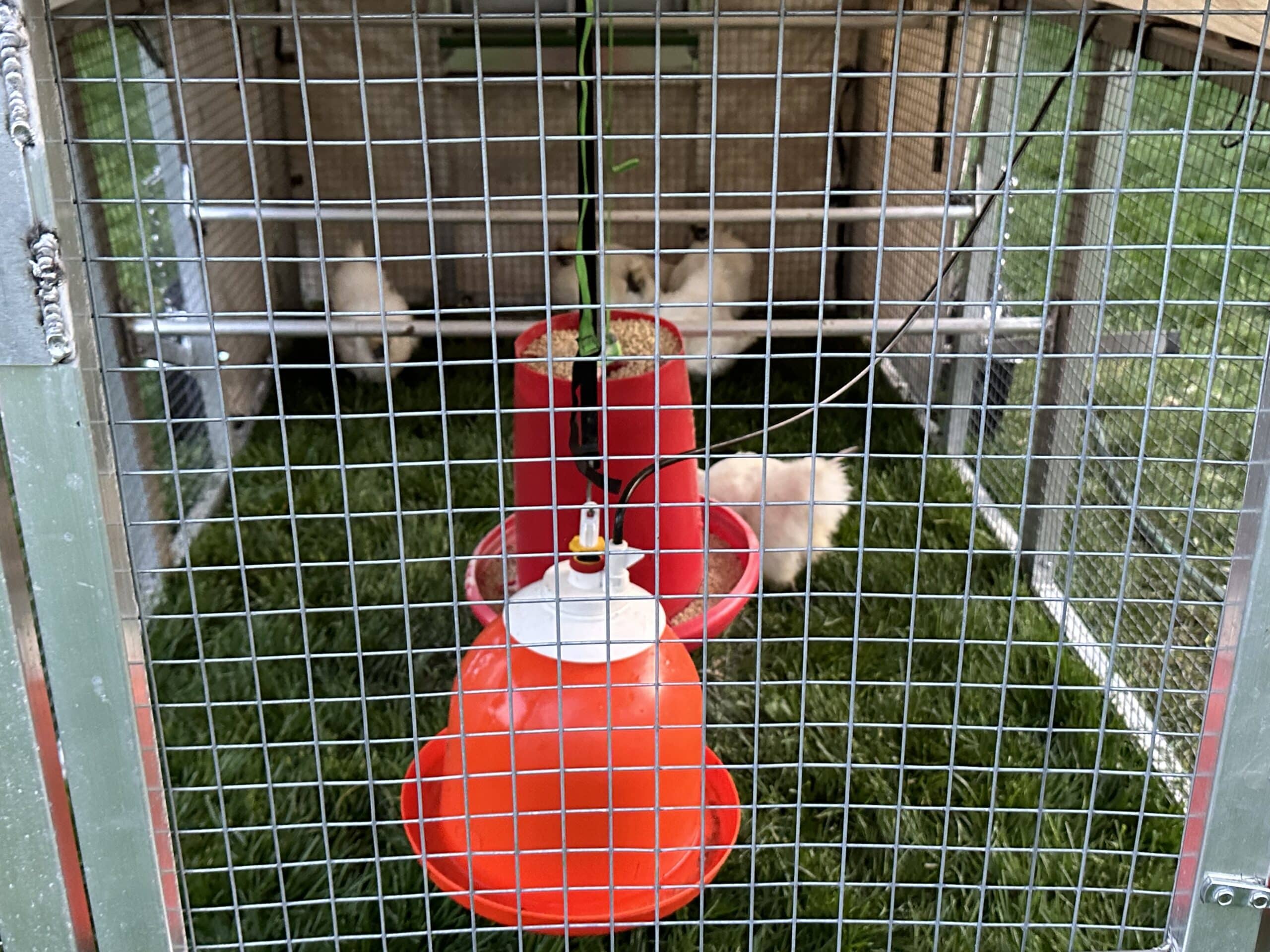 Happy Farmer Mobile Chicken Coop in Lancaster PA