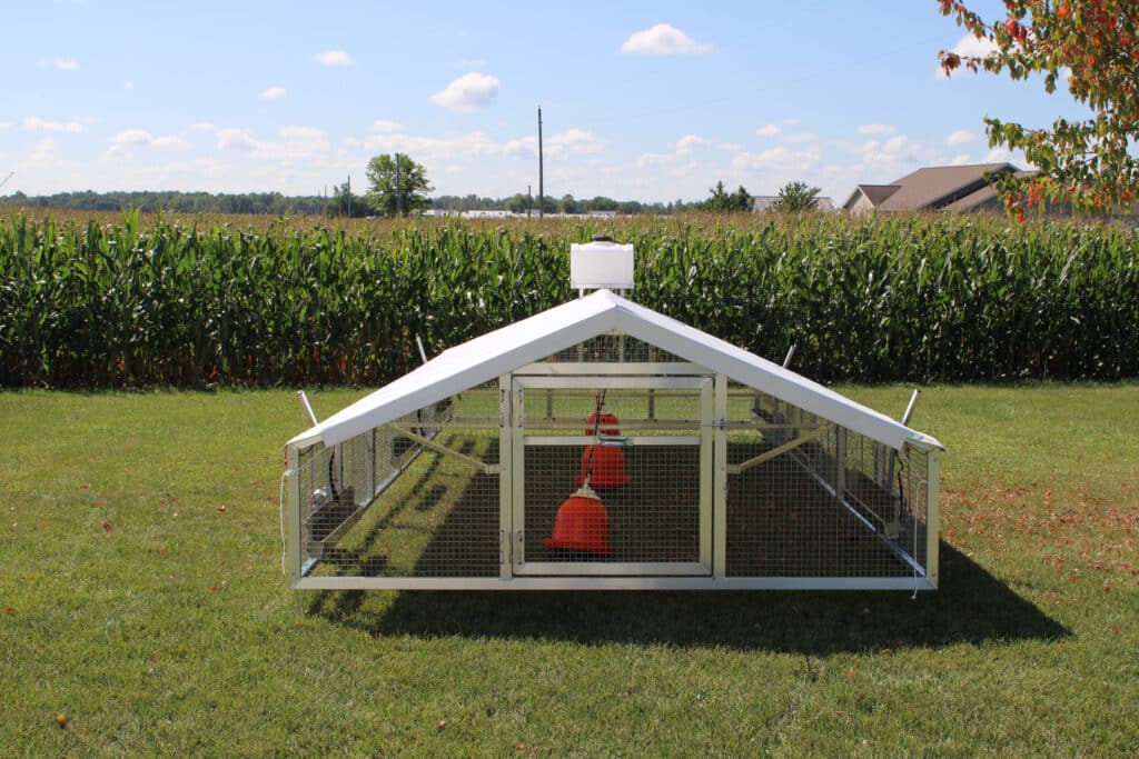 mobile chicken coops in Montana