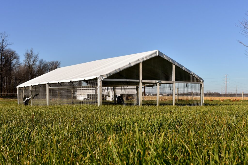 chicken coops with broilers in south dakota