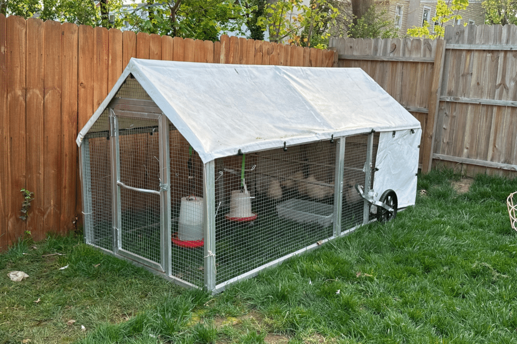 mobile chicken coop laws in the us