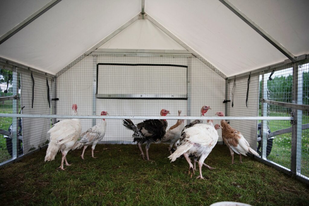 mobile coops for turkeys in south dakota