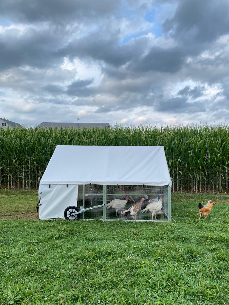 mobile coop for turkeys for sale in oregon