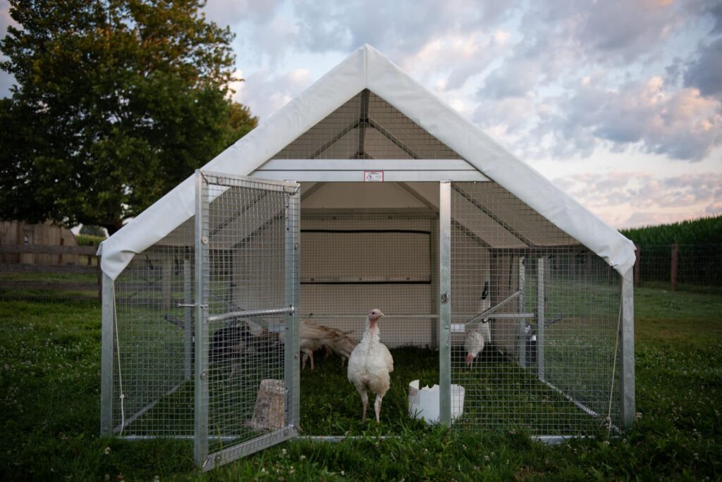 mobile coops for turkeys in south dakota