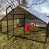 10x12 Coop for 60 to 80 chickens