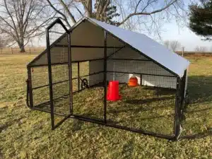 10x12 Coop for 60 to 80 chickens