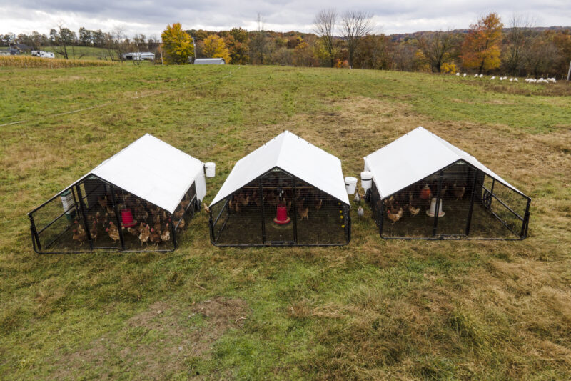 buy a mobile chicken coop for farming