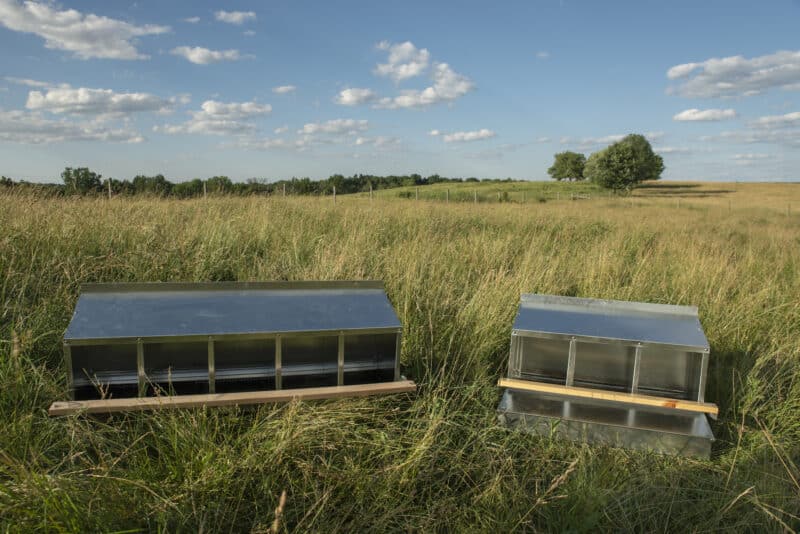 buy a nesting box for 5 chickens