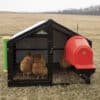 buy a small chicken coop to move around