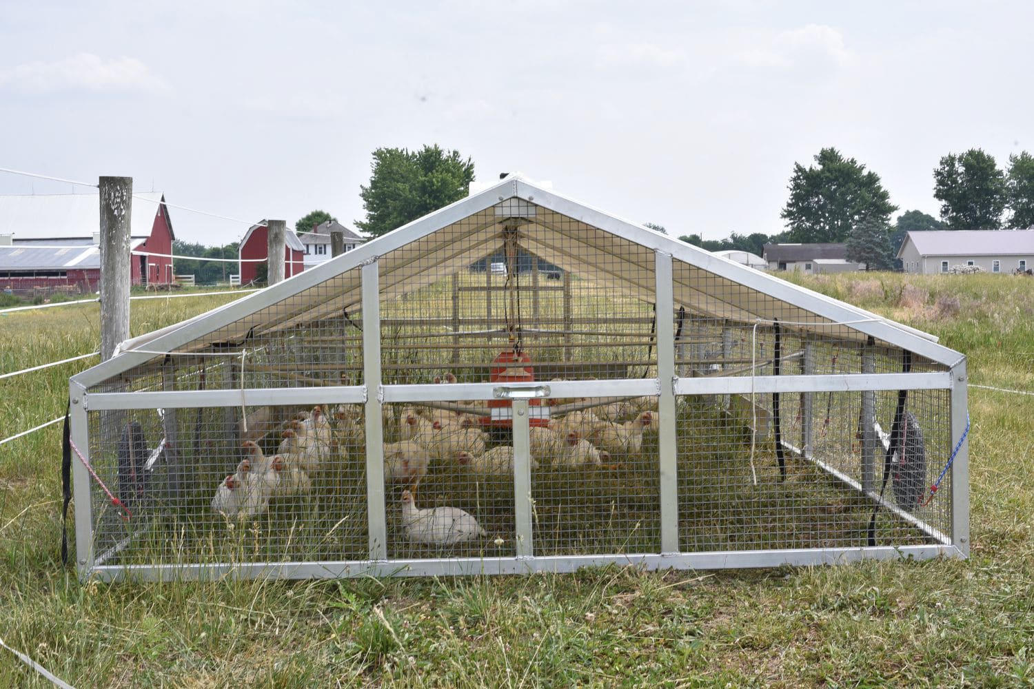 mobile chicken coops in Nevada with chickens inside