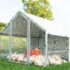 mobile coop for thirty chickens