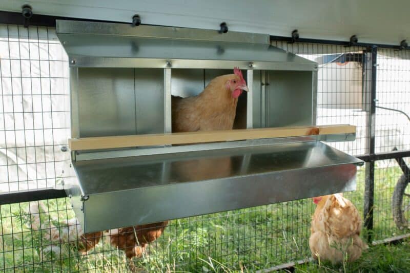 porta coop add on options nesting boxes for chickens