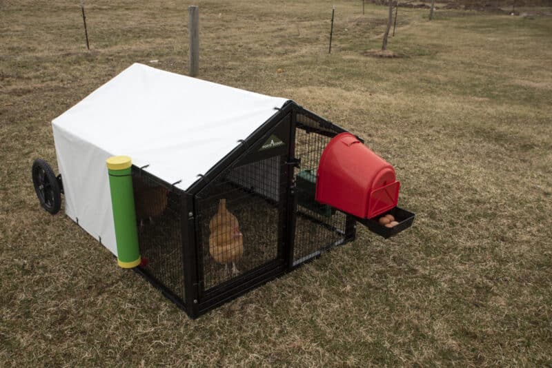 small moveable chicken coop