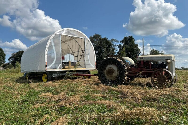 10x16 mobile free range chicken coop (18)