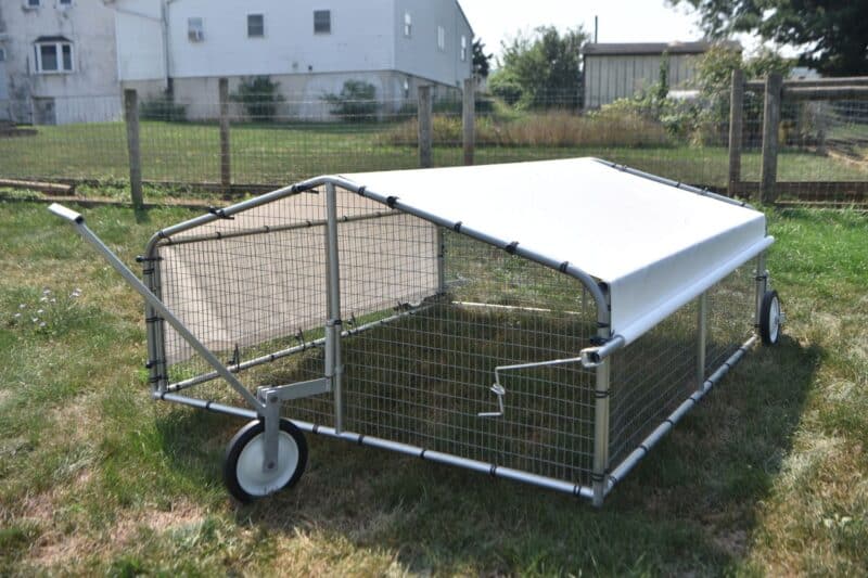 12x12 steel chicken coops (7)