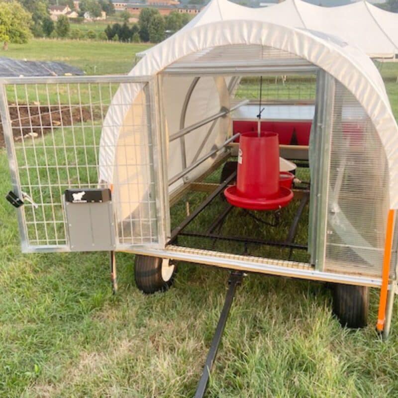 5x8 mobile free range chicken coop 6