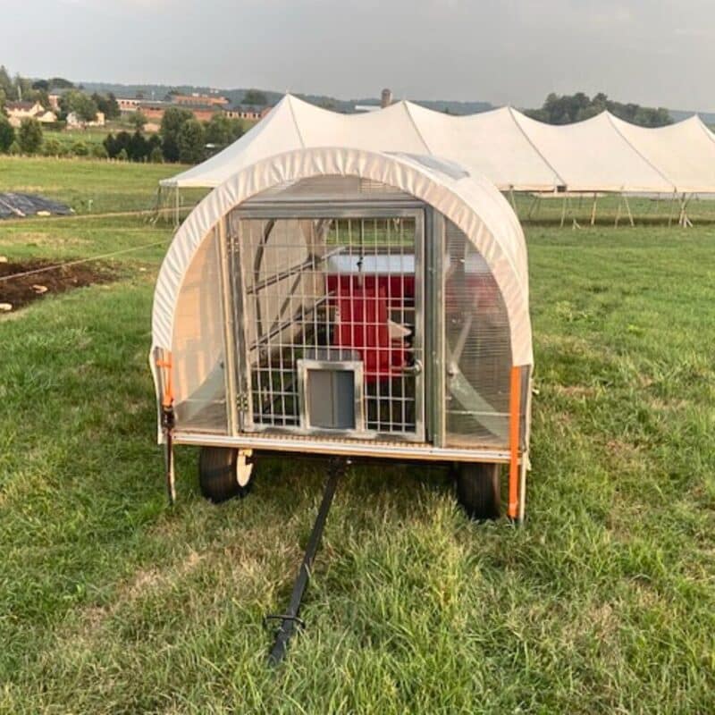 5x8 mobile free range chicken coop 7