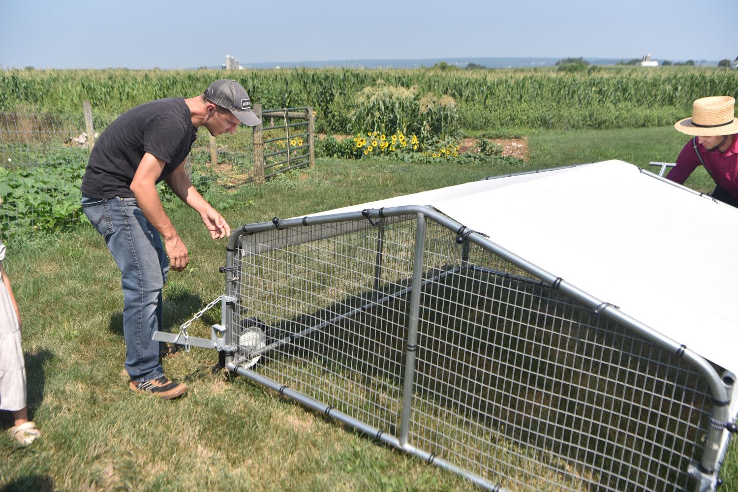 6x8 steel chicken coops (5)