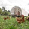 Mobile Chicken Houses For Sale