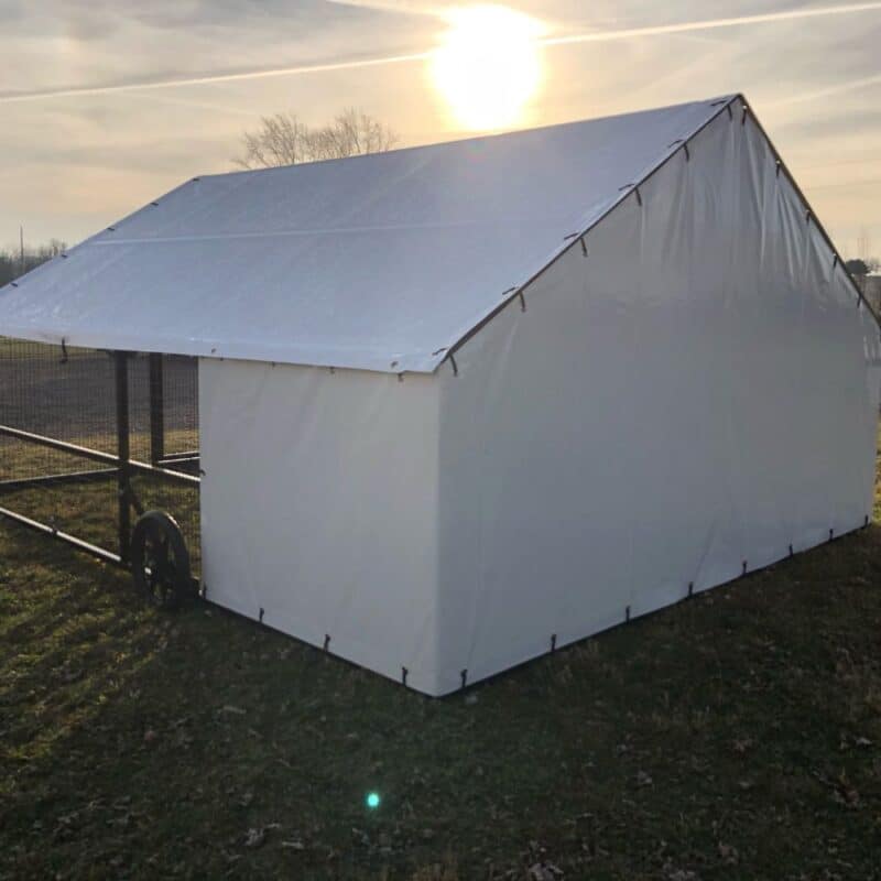 replacement 6x8 tarp for steel chicken coops 4