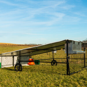 10x12 coop for 60 hens mobile