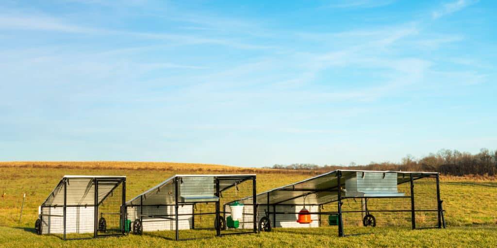 4x5 Chicken Coop