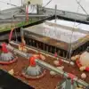 ROVA BARN CHICKEN BROODER