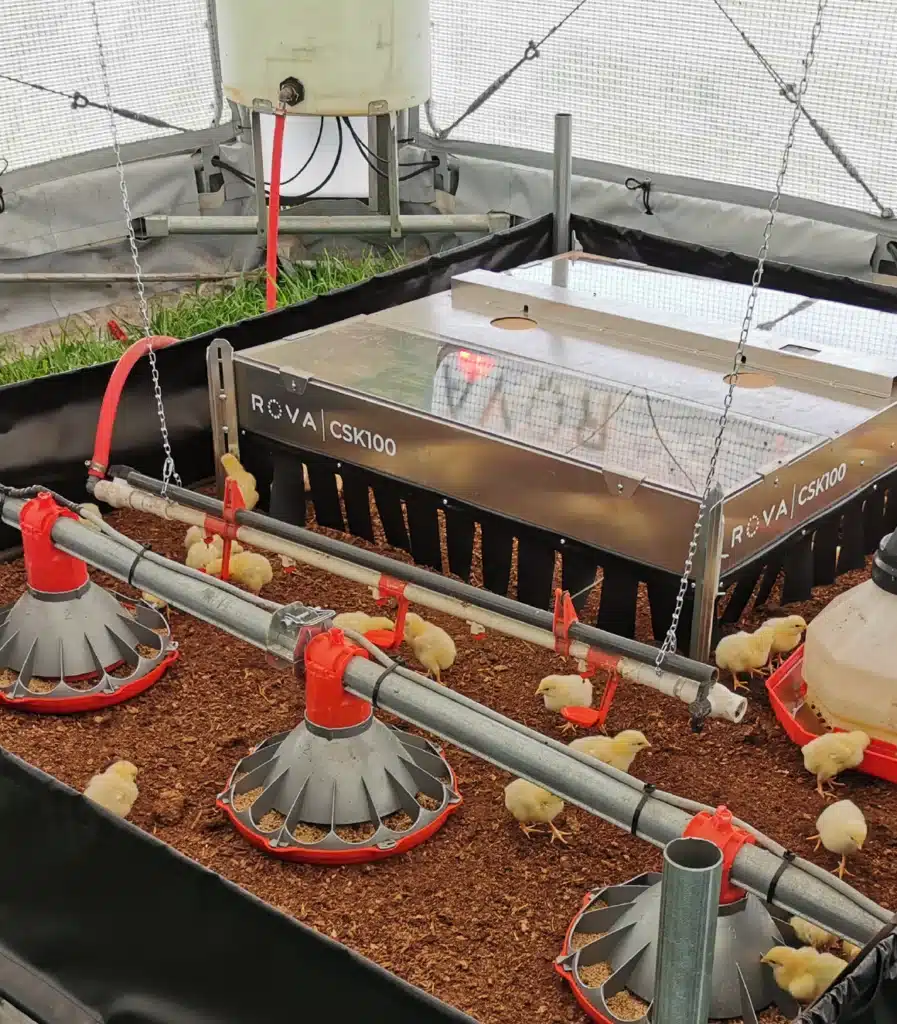 chicken brooder for rova barn