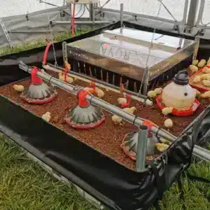 rova barn chicken brooder
