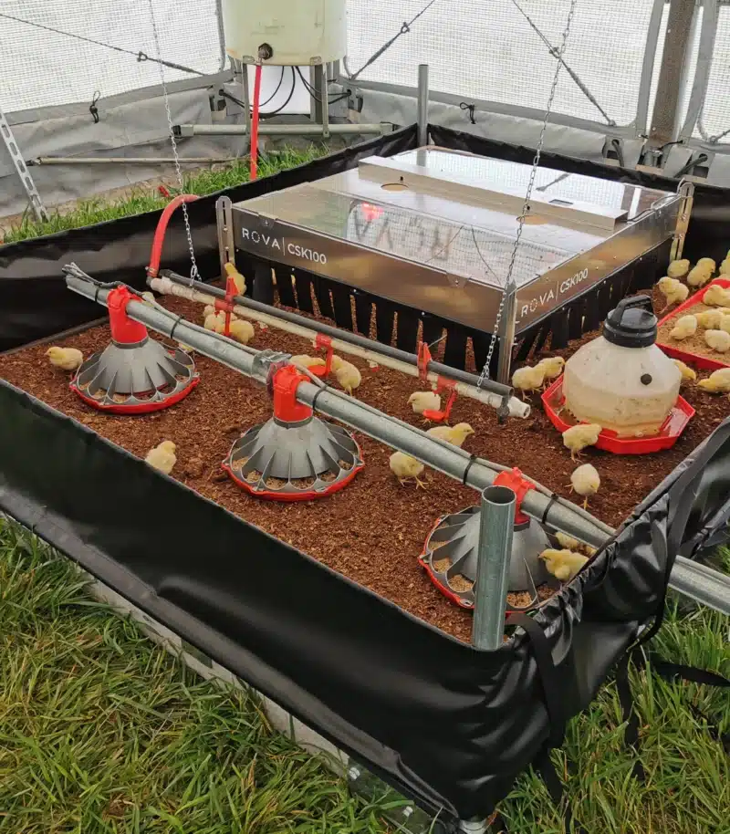 ROVA BARN CHICKEN BROODER